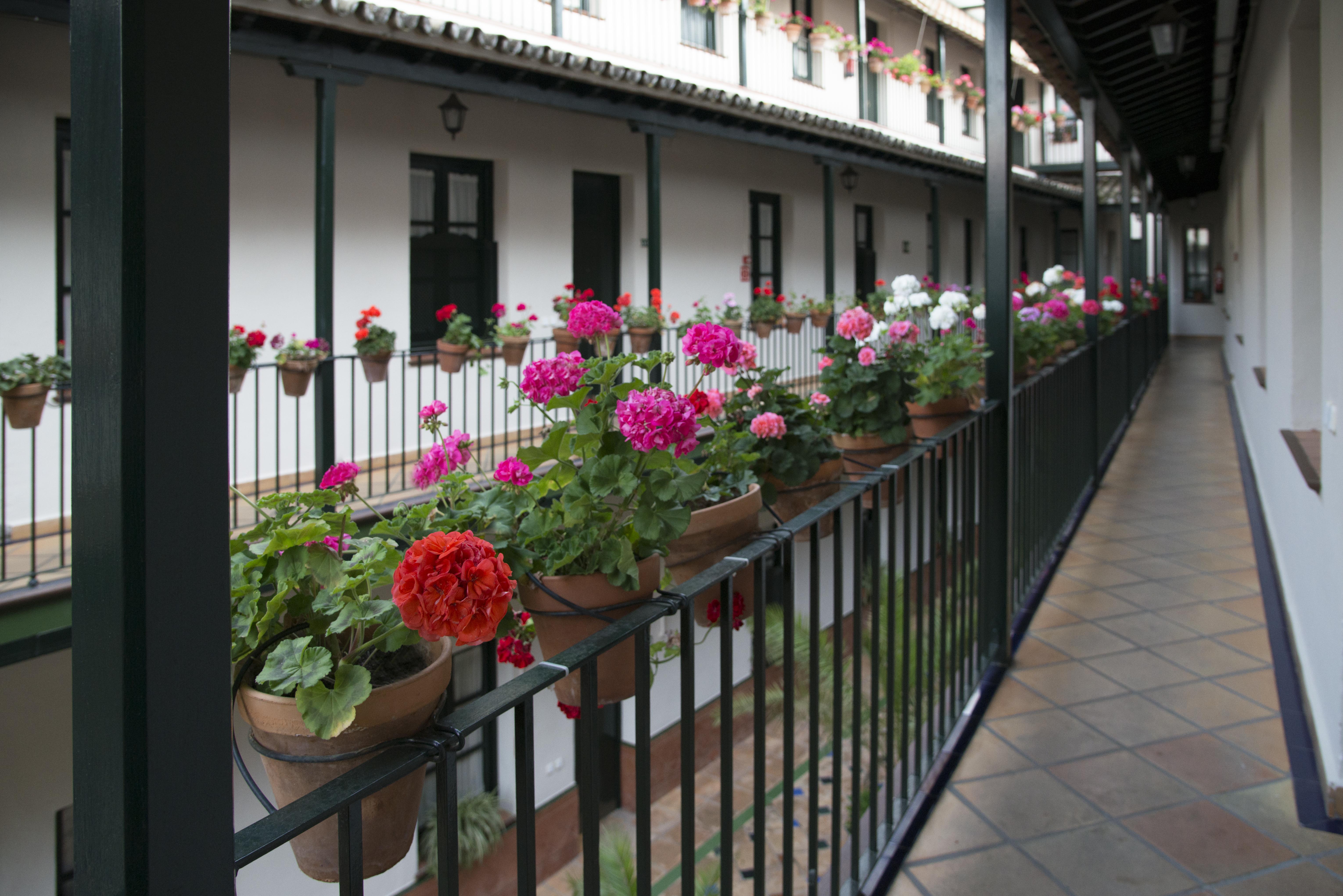 Corral De Los Chicharos Seville Ngoại thất bức ảnh